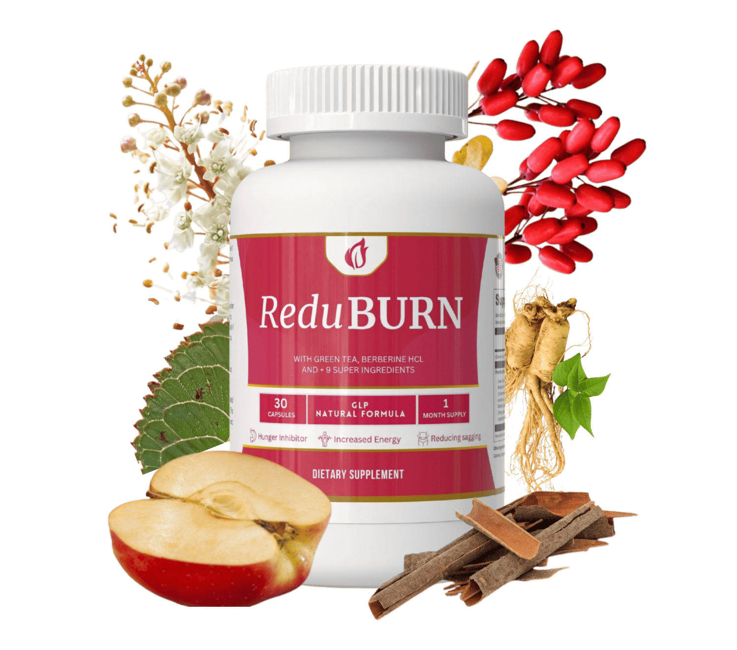 ReduBURN ingredients concept